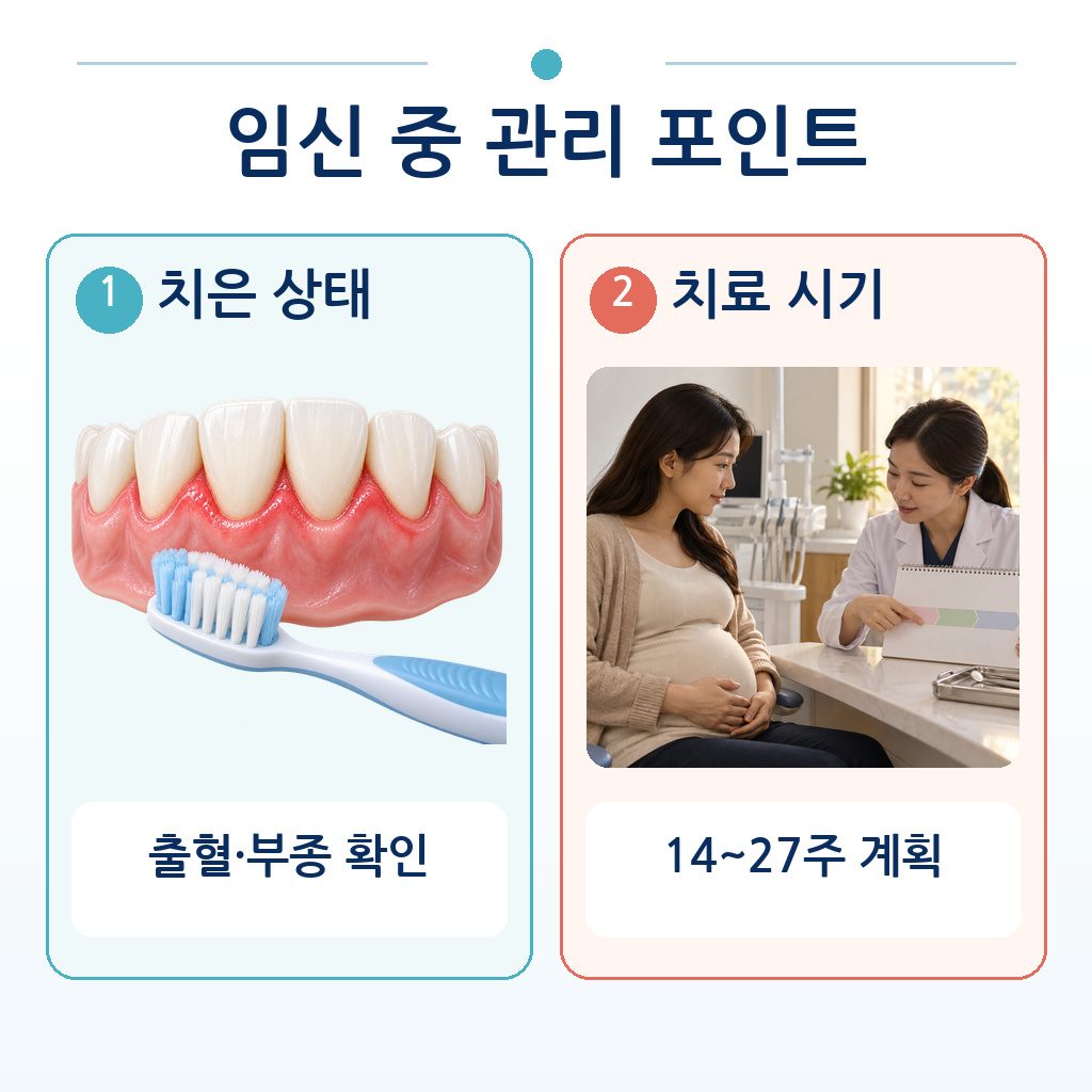 임신 중 확인할 치은 출혈·부종과 14~27주 치료 계획 두 가지를 정리한 그림