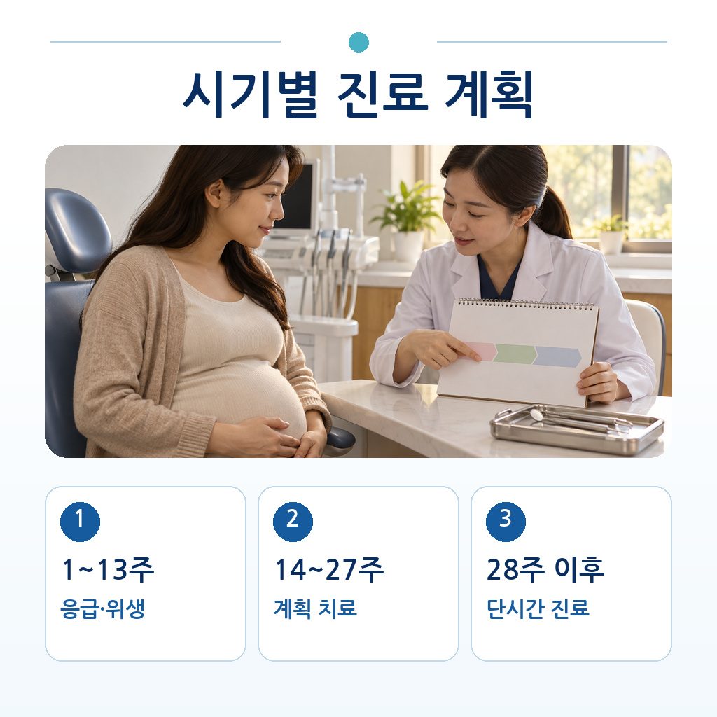 임신 1~13주 응급·위생, 14~27주 계획 치료, 28주 이후 단시간 진료로 나눈 시기별 진료 계획 그림