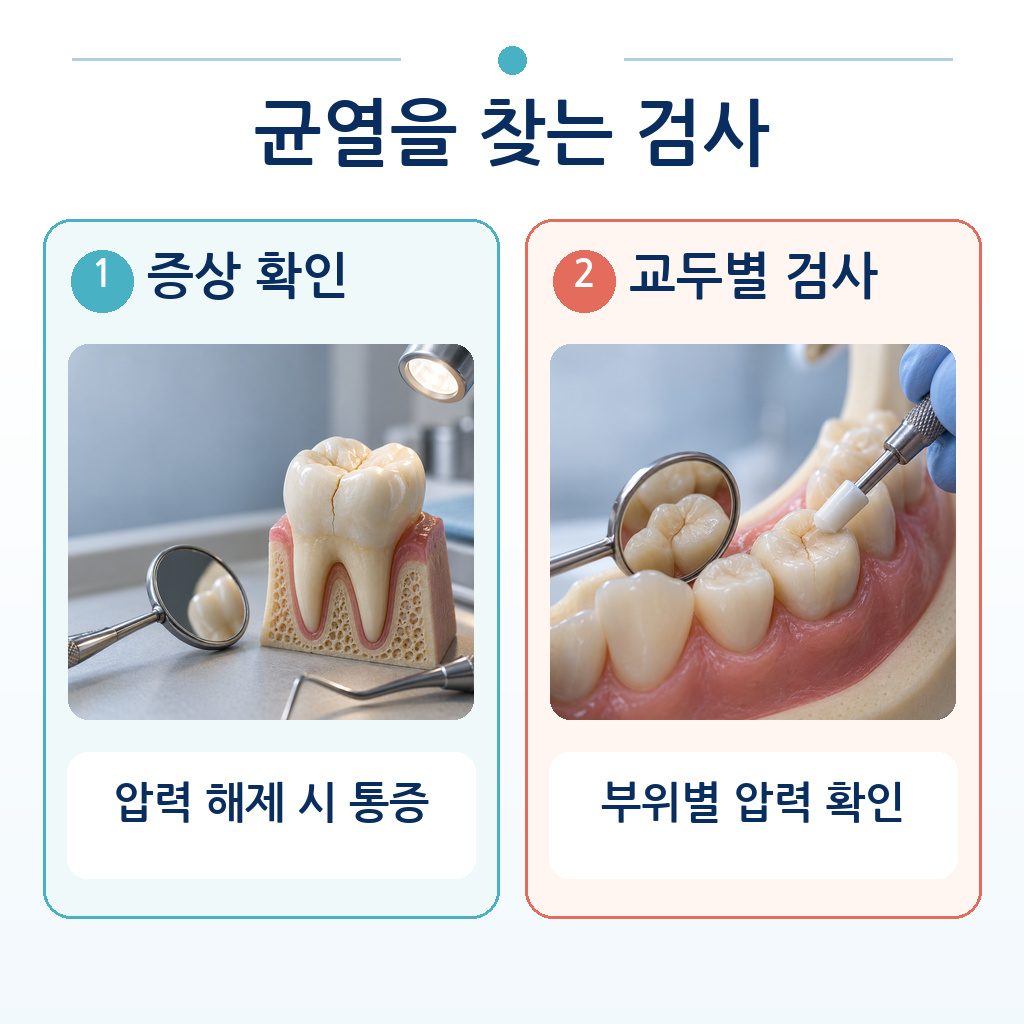 압력을 해제할 때의 통증 확인과 교두별 압력 검사 두 가지 진단 과정을 보여 주는 그림